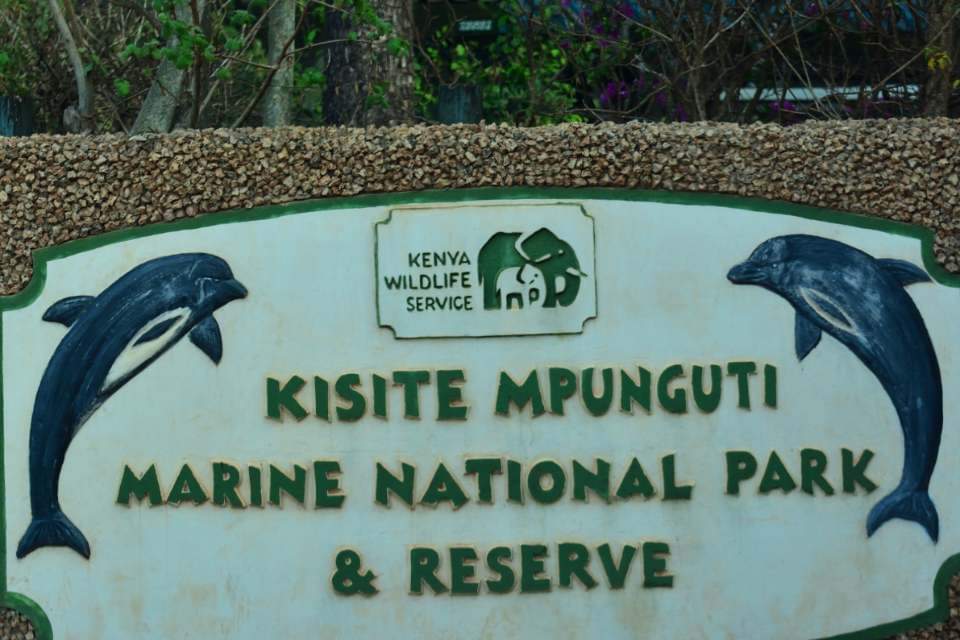 Kisite Mpunguti Marine Park